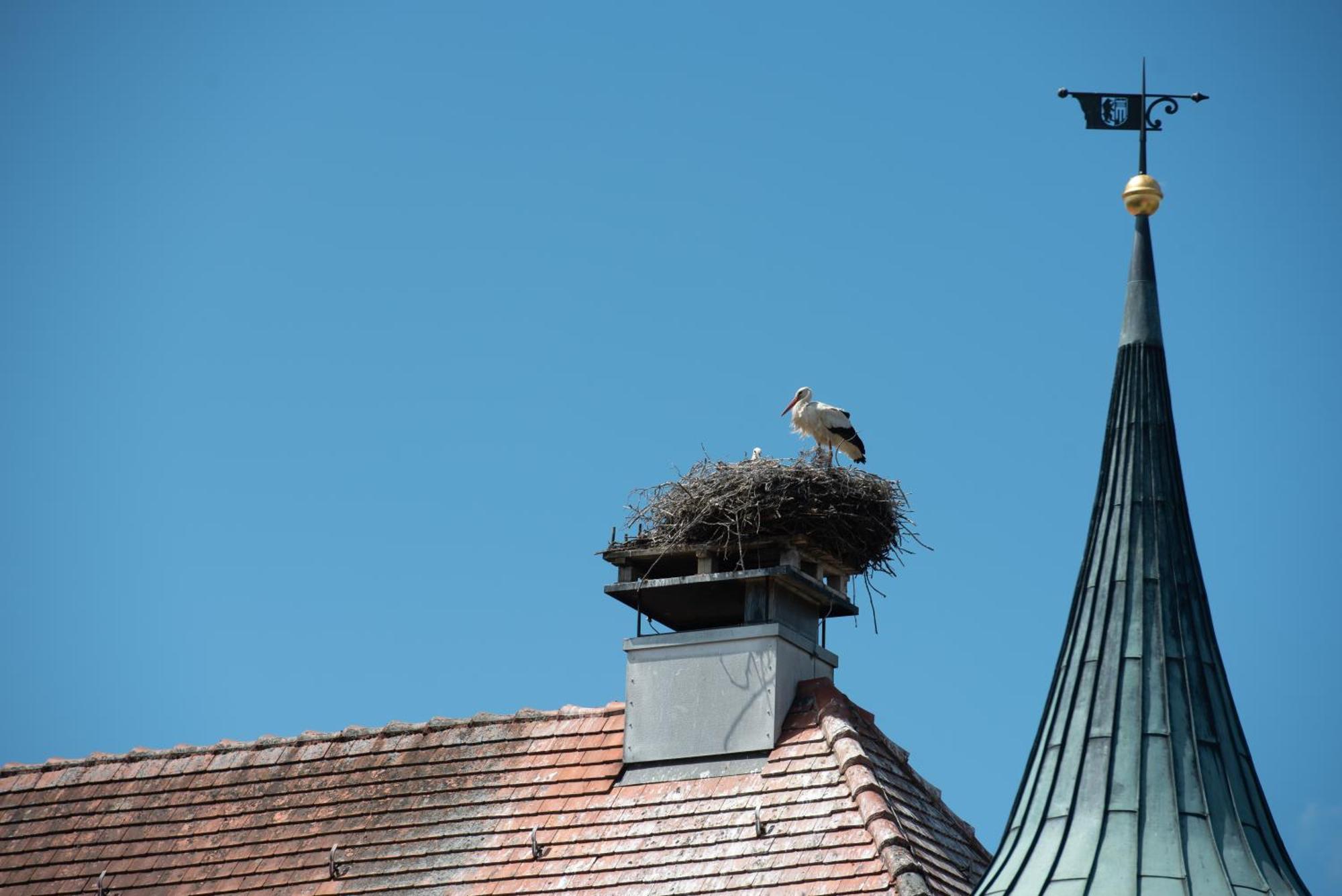 Boutique - Hotel Zum Schloss Amtzell エクステリア 写真